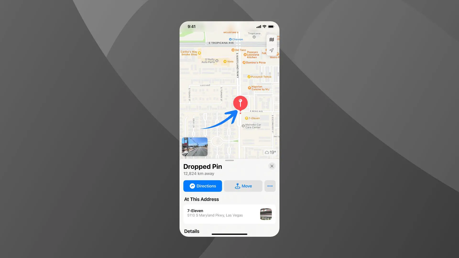 Show Apple map pinning function